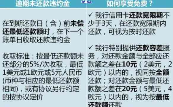 逾期日服务费详细解析：收费标准、影响及如何避免逾期