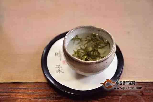 探索普洱茶博苑：一个全方位了解普洱茶、品鉴与文化的宝库