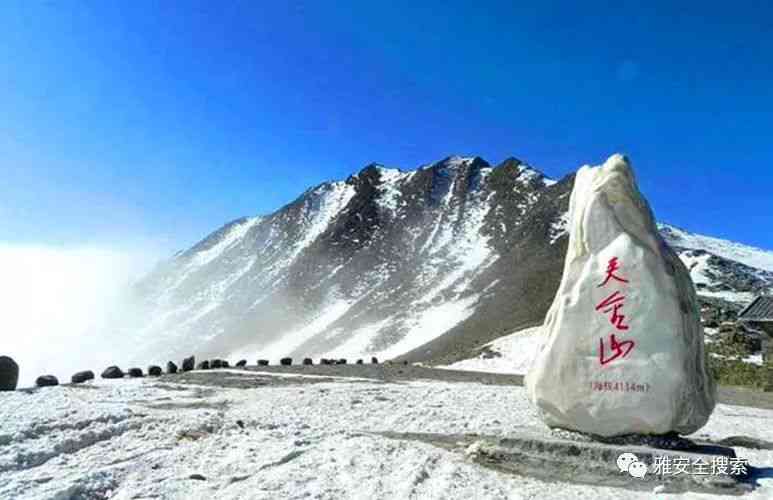 揭秘大雪山：普洱茶名山中的佼佼者，你喝对了吗？