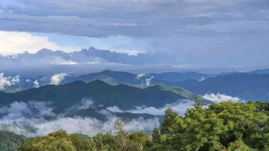 揭秘大雪山：普洱茶名山中的佼佼者，你喝对了吗？