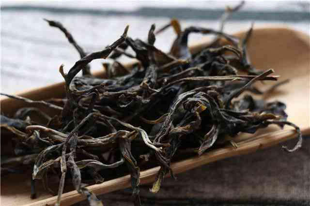 普洱千年古树茶价格与特点：口感、功效和作用全解析