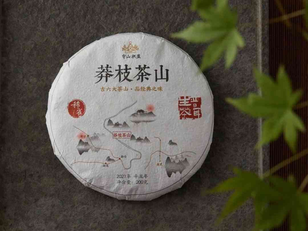 普洱茶探山采味好喝吗