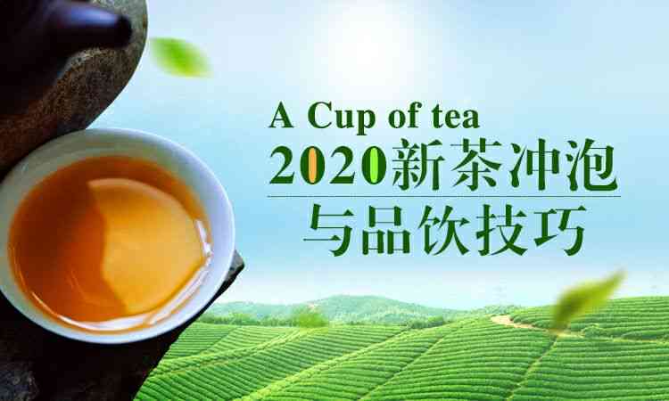 班章单株普洱茶：一款品质与传承并重的新茶品探索