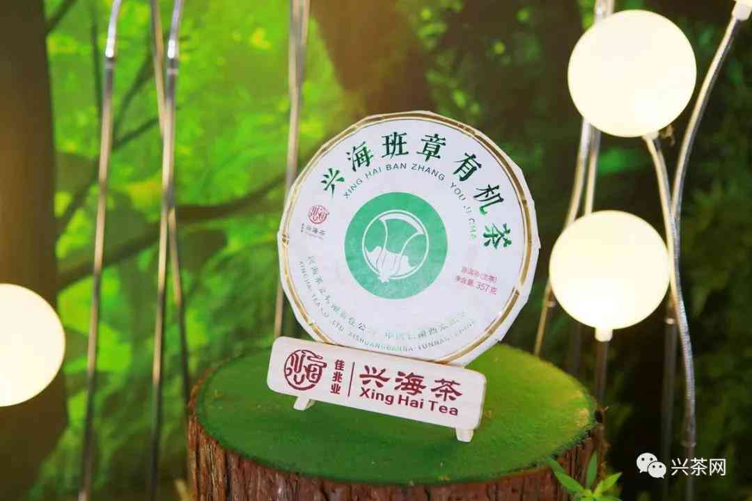 班章单株普洱茶：一款品质与传承并重的新茶品探索