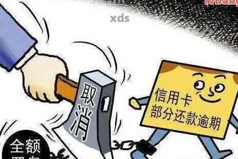 信用卡逾期两次的后果及应对策略：了解详细处理流程