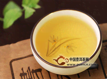 从选购到品鉴：珍藏版普洱茶全面指南，了解普洱茶的魅力与品鉴技巧