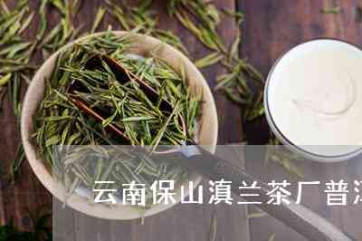 云兰普洱茶桩生产厂家地址电话