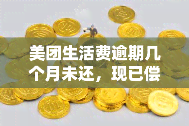 美团生活费逾期10天后的还款和再次借款处理方式全解析，解答用户疑问