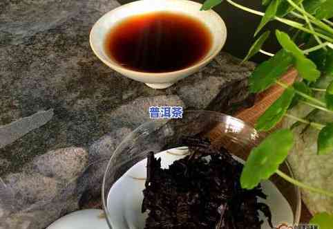 普洱茶熟茶小茶头：品质、制作工艺与功效的全面解析