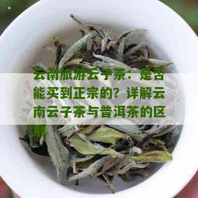 云南云子茶真的是普洱茶怎么样：揭秘真相与特点