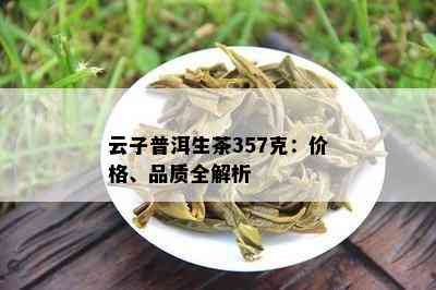 云子普洱茶精选套餐及价格一览表 - 高品质生茶与熟茶推荐