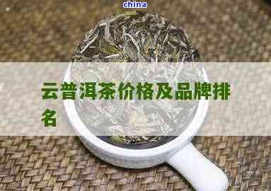 云子普洱茶精选套餐及价格一览表 - 高品质生茶与熟茶推荐