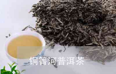 铜箐河普洱茶品鉴与价格指南：了解各种级别和年份的茶叶定价