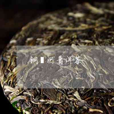 铜箐河普洱茶品鉴与价格指南：了解各种级别和年份的茶叶定价