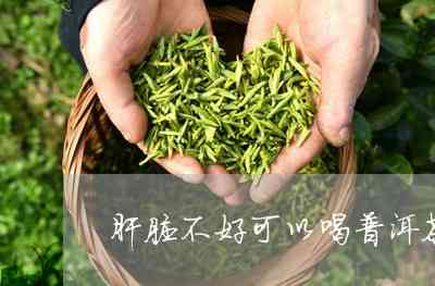 喝普洱茶肝痛怎么办呀