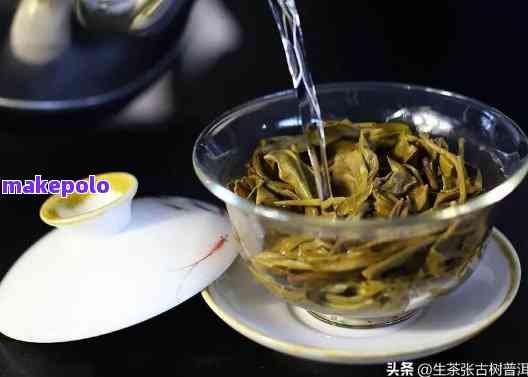 品尝普洱茶的魅力：从选择茶叶到冲泡方法，全面指南让你成为普洱茶专家