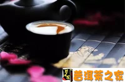 请你喝一杯普洱茶歌曲：歌词与大意解析