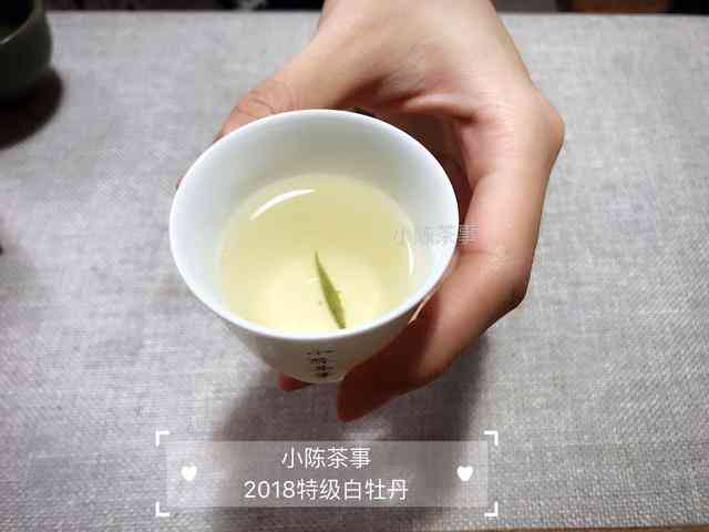 普洱茶小方砖冲泡技巧：掌握正确步骤，品尝生茶的醇厚风味