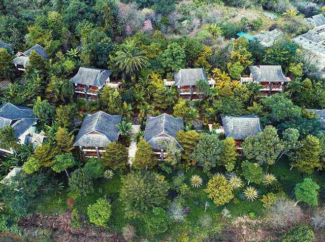 云南澜沧县景迈山区的特色普洱茶品鉴与制作之旅