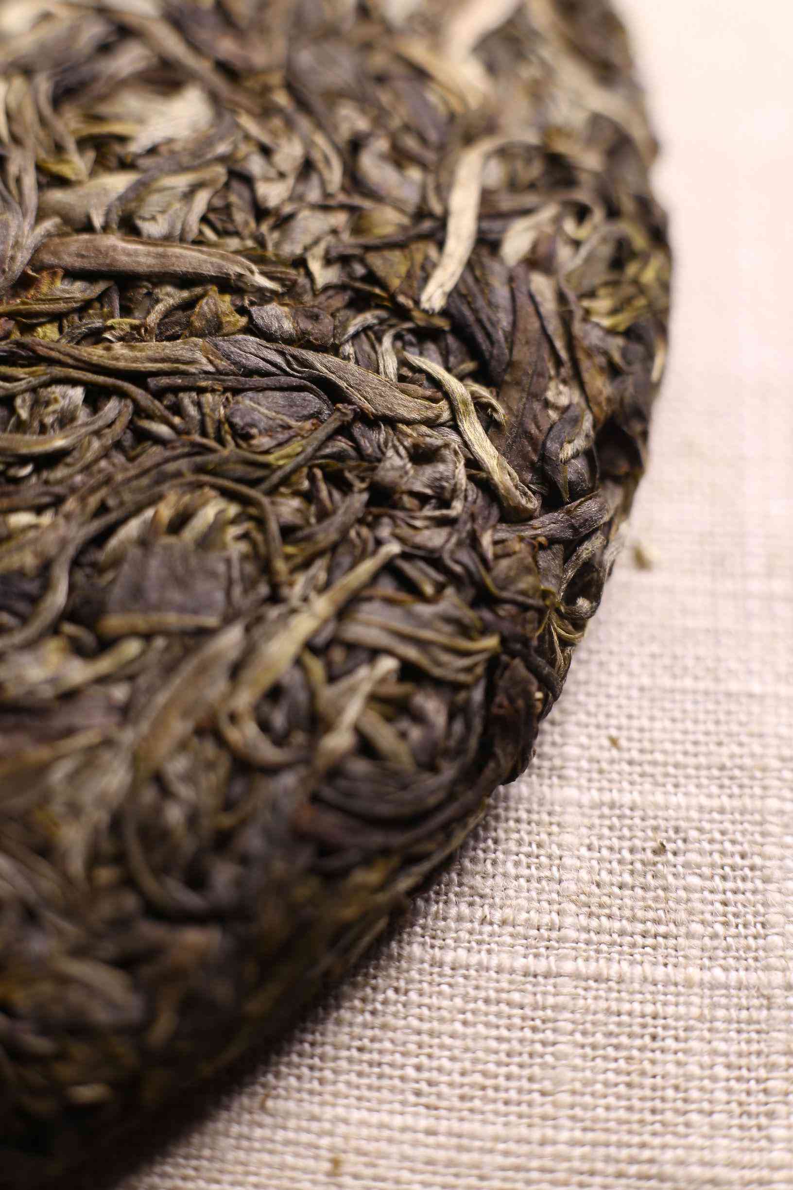 如何防止泡熟普洱茶发霉以及处理已发霉茶叶的方法
