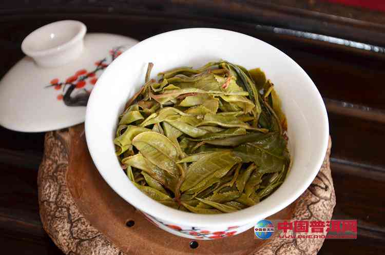 全方位推荐：优质普洱茶，让您轻松找到最适合您的苦底茶