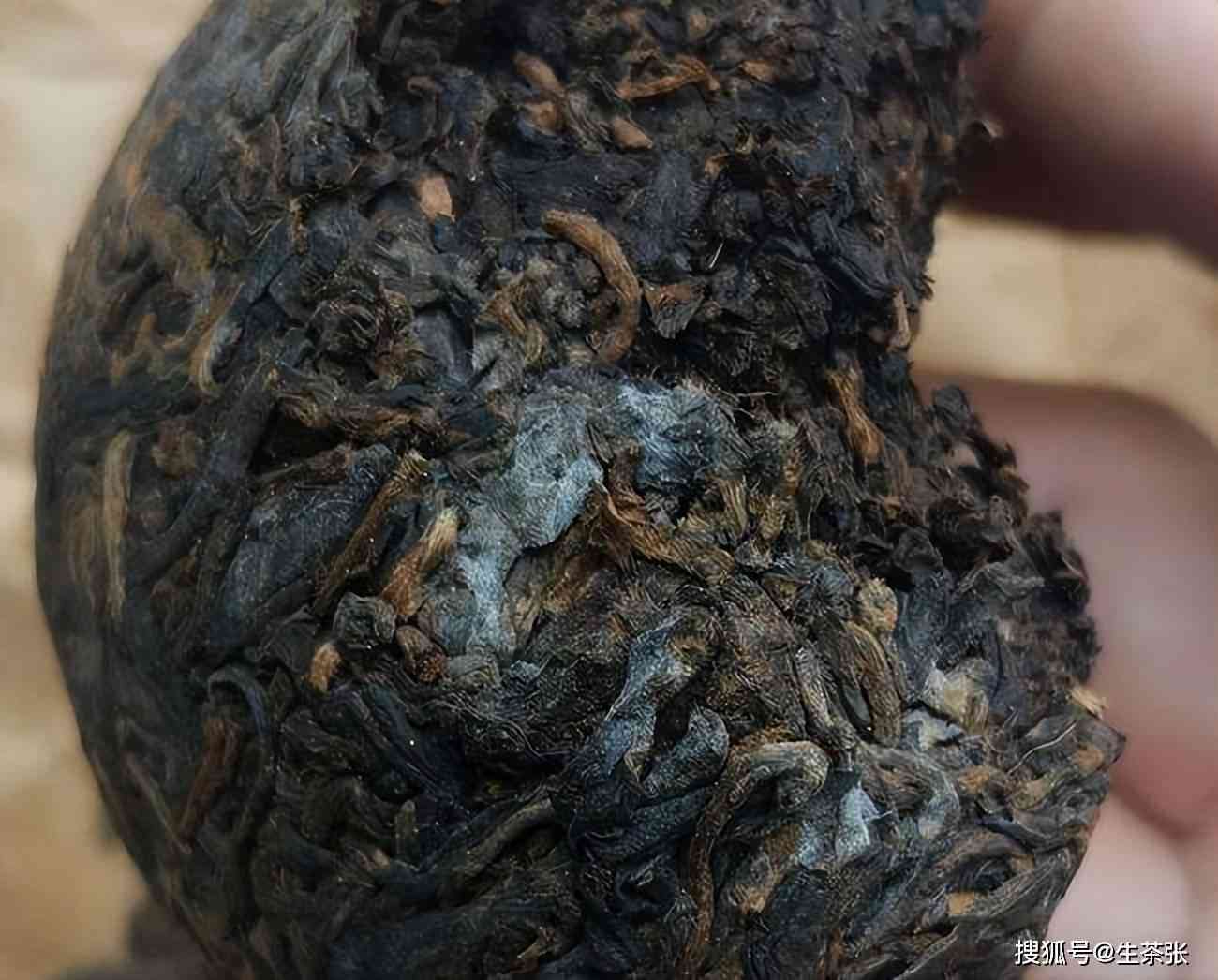 泡熟普洱茶发霉味