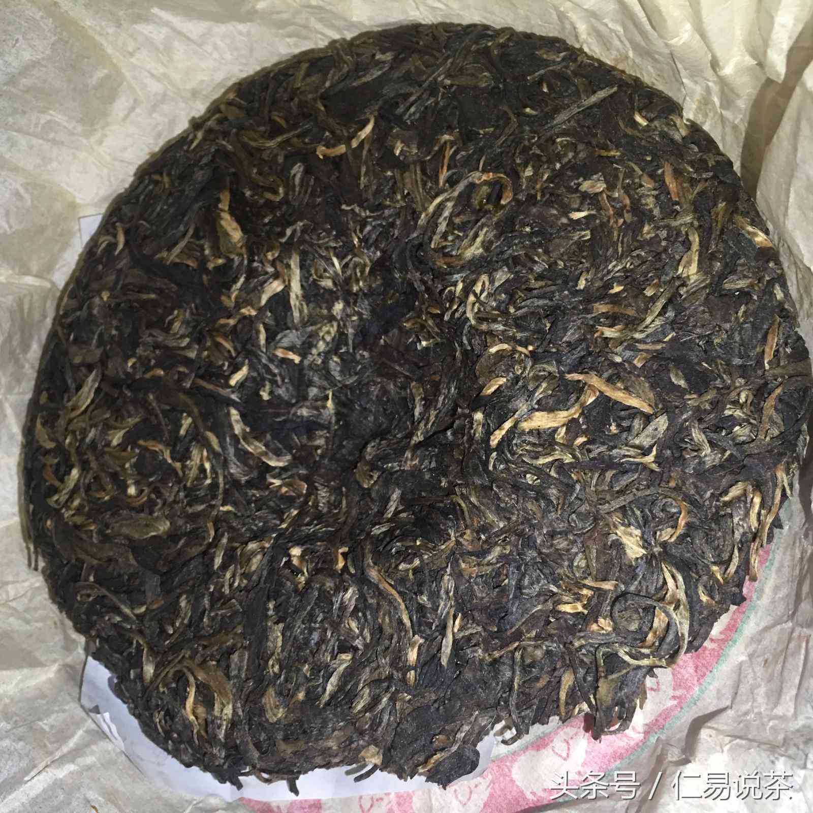 全面品鉴苦底普洱茶：哪款茶品味道？