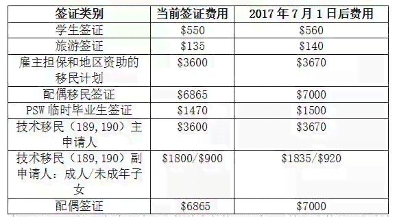 探亲出国的年龄限制：年龄对于签证和移民政策的影响