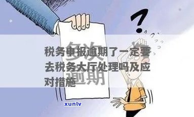 逾期缴税可能带来的后果及其应对策略：详尽解析与建议