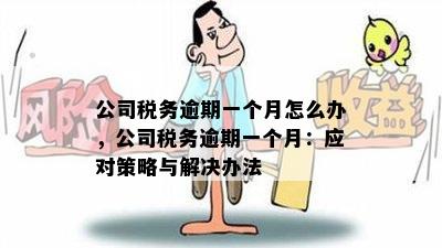 逾期缴税可能带来的后果及其应对策略：详尽解析与建议