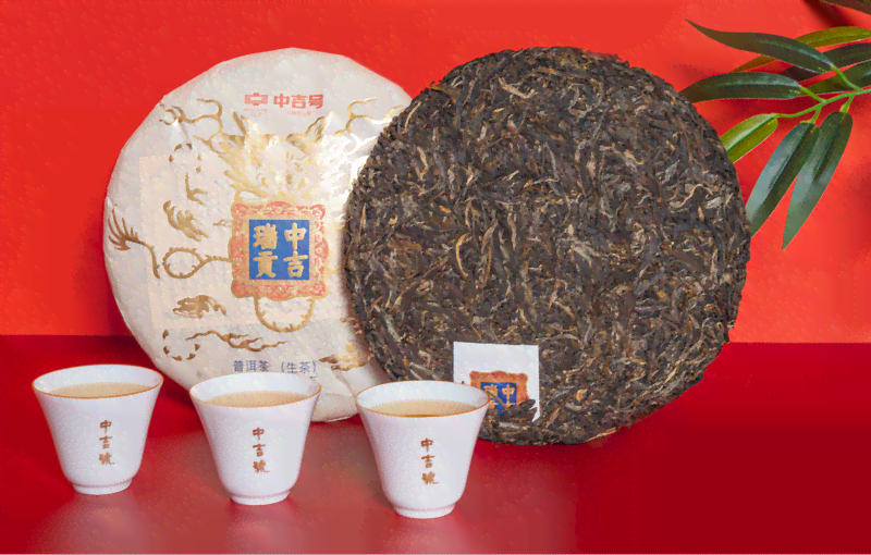 倚邦普洱茶：一款历悠久的贡茶，品饮与收藏的全面指南