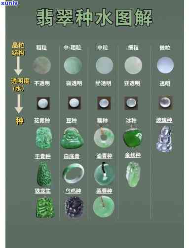 全面解析：翡翠的结构、种类与鉴别方法，让您轻松了解真翡翠的品质