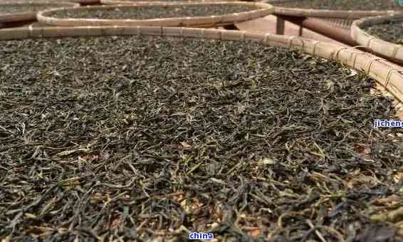 探究普洱茶叶独特的魅力与其炒制过程的关联性