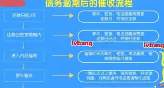 新关于网商贷逾期情况的调查与工作流程详解