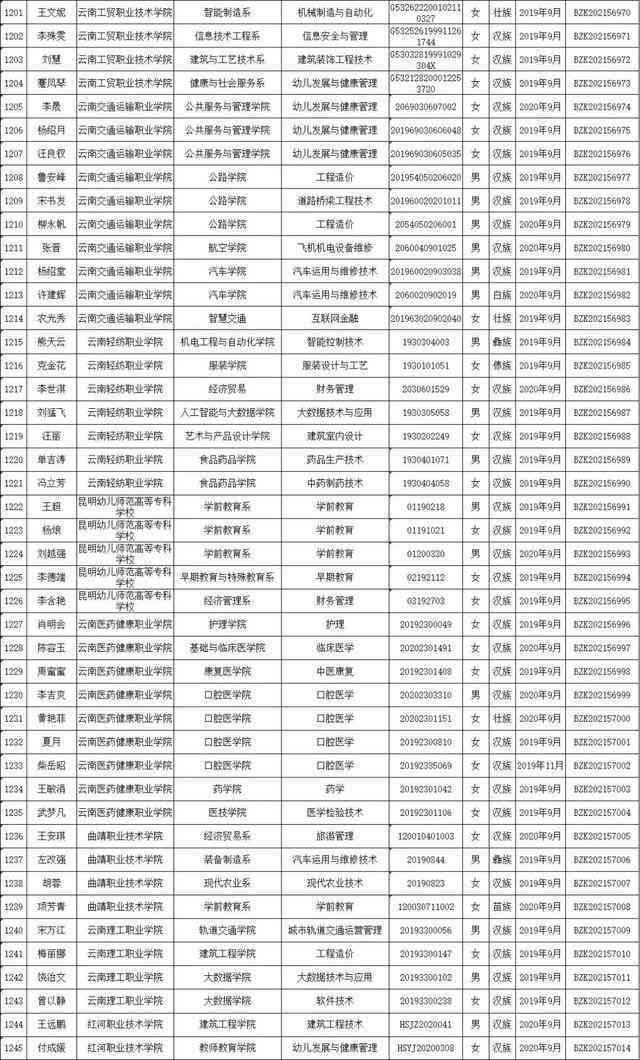 贡饼普洱茶价格一览表，云南金芽贡饼普洱茶最新报价