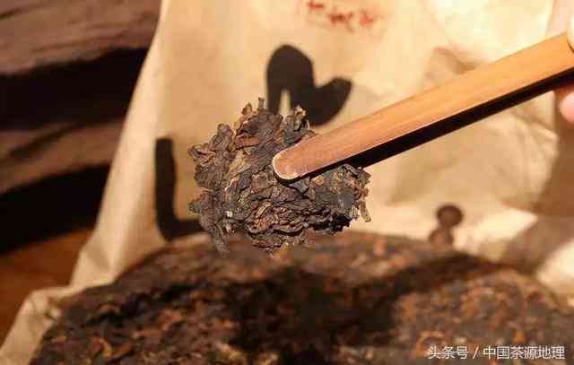 普洱茶熟茶茶饼怎么喝：泡法与饮用方式