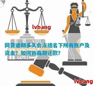 网贷逾期后，如何查询名下资产并防止财产损失？