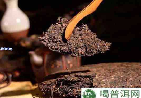 普洱茶渣做花肥：方法与注意事项