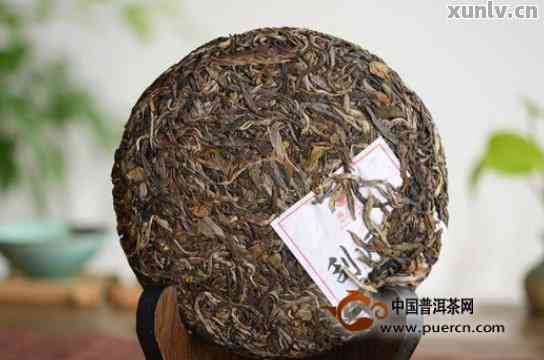 全面解析普洱茶七大经典品种：特点、品质与收藏价值