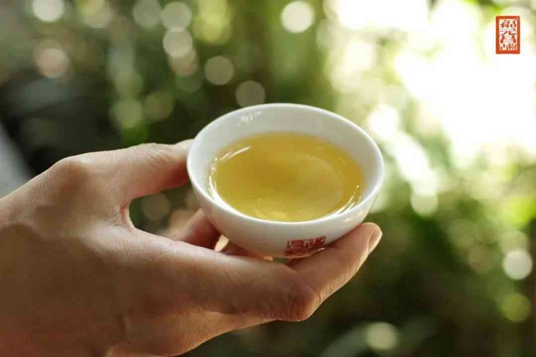 新云南原产地糯米香普洱茶，清甜入喉的品茶体验