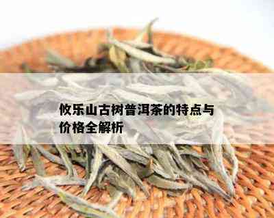 攸乐山普洱茶：口感特点与古树茶的魅力解析