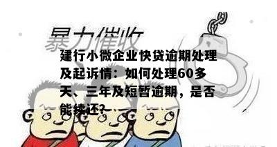 建行小微企业贷款逾期怎么办