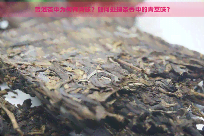 普洱茶的青味去除方法：如何让普洱茶口感更醇厚