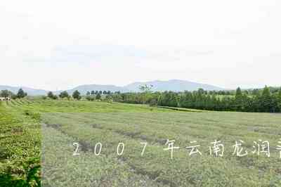 龙润普洱茶价格表：2006年100克云南龙润熟茶价格