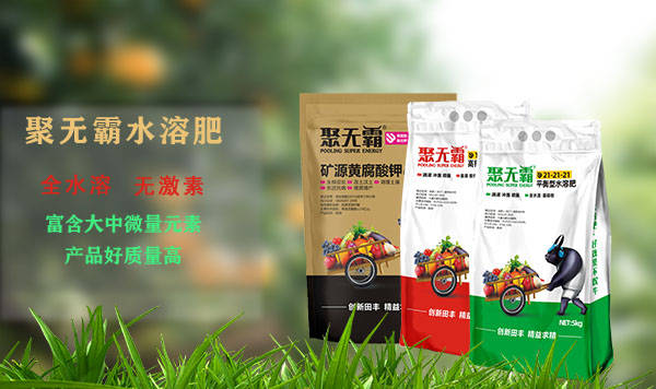 普洱茶肥料的制作方法及其在园艺中的多功能性详解