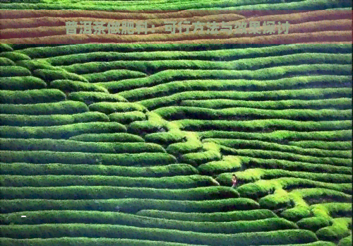 普洱茶作为肥料的效用及制作方法：无、环保的自然肥源