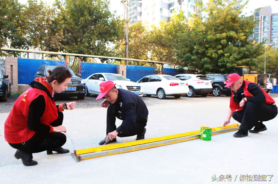 蜘蛛网是什么？如何制作和清除，以及其在生活和科学上的应用