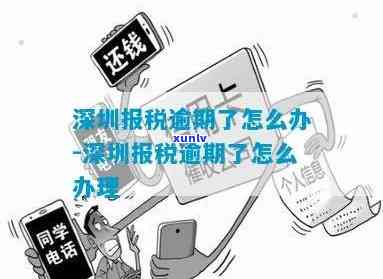 深圳报税逾期解决全攻略：原因、影响与应对措一文详解