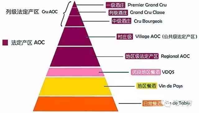 法国购买普洱茶的详细条件：了解进口流程、税收政策和品质标准