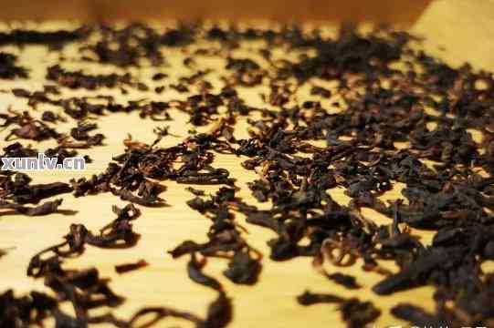 普洱茶发酵程度对比：后发酵和非发酵茶叶的优劣解析